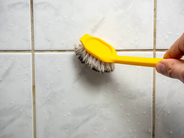 Best Affordable Mold Removal  in Homer, GA